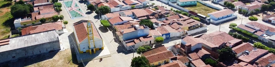 Seção de busca no portal